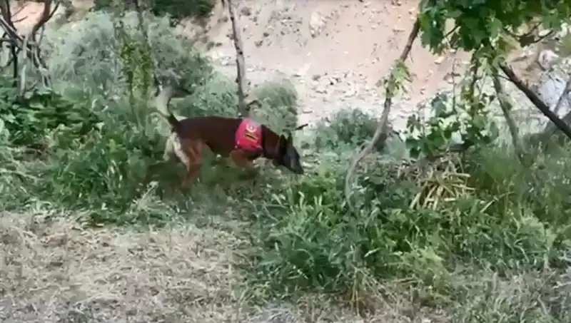 Dere Kenarında Gizlenen Esrar: Dedektör Köpekle Yakalandı!