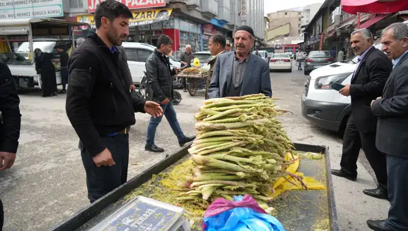 Şekerin Tedavisinde Yenilik: Dağlık Alanlardan Toplanan Şifa Kaynağı