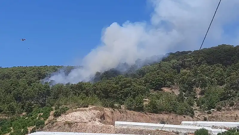 Kumluca'da Kontrol Altına Alınan Orman Yangını: Tüm Detaylar Burada!