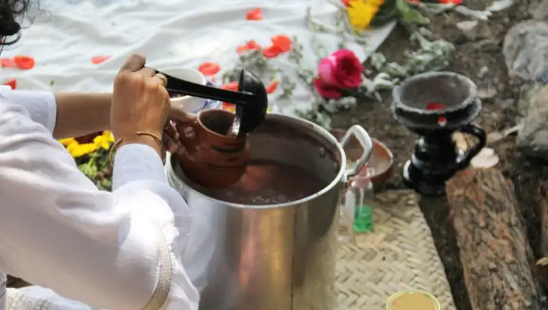 Ayahuasca: Gizemli Şifalı Bitkinin Sırrı ve Yasal Durumu