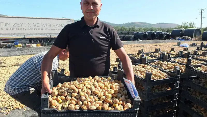Balıkesir'de Tarım Sezonu: İhracatta Yeni Fırsatlar ve Hedef Pazarlar
