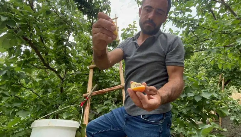 Lezzetiyle Efsaneleşen Ürün: 70 TL’ye Damağınızı Şenlendirin!