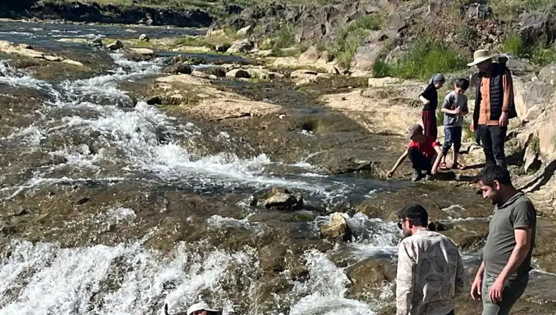 İnci Kefalinin Muhteşem Göçü: Doğanın Mucizesiyle Tanışın