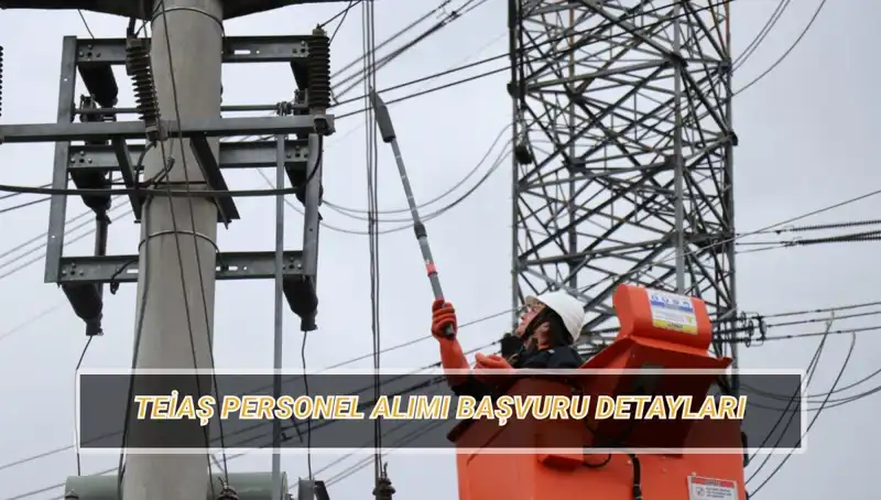 TEİAŞ Personel Alımı: Başvuru Tarihleri ve Şartları Neler?