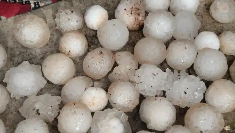 Şanlıurfa'da Şok Etkisi Yaratan Kar Topu Büyüklüğünde Dolu Yağışı!