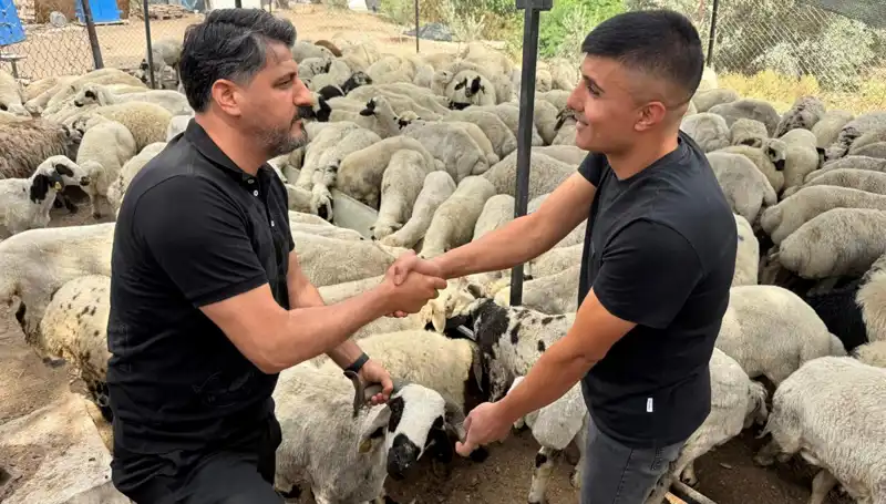 Kurbanlık Alırken Dikkat: Tuz ve Sumak Kullanımı Şişkinlik Sebebi Olabilir!