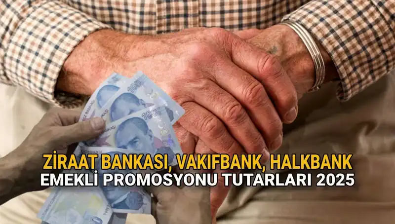 2025 Yılı Emekli Maaşı Promosyonları: Kamu Bankaları Ne Sunuyor?