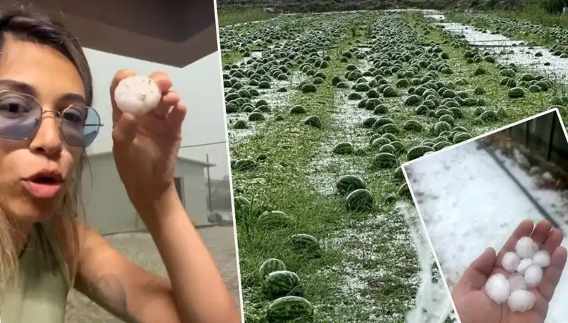 Antalya'yı Vuran Dolu ve Hortumun Getirdiği Yıkım: Gözyaşlarıyla Anlatılanlar