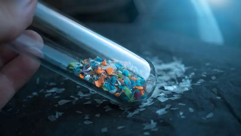 Mikroplastikler: İnsan Beynine Sızan Gizli Tehlike ve Etkileri