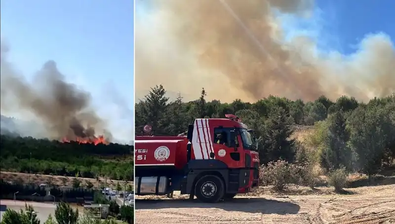 Gebze'de Korkutan Orman Yangını: Yangının Sebepleri ve Sonuçları