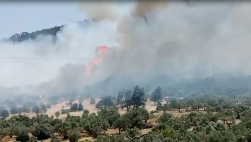 İzmir’de Korkutan Orman Yangını: Ekiplerin Mücadelesi Devam Ediyor