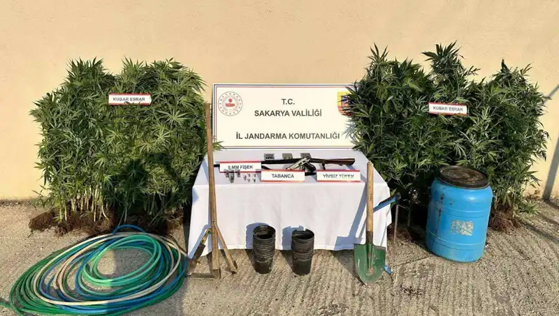 Sakarya'da Narkotik Operasyonu: 1 Kişi Tutuklandı, Uyuşturucu Maddeler Ele Geçirildi
