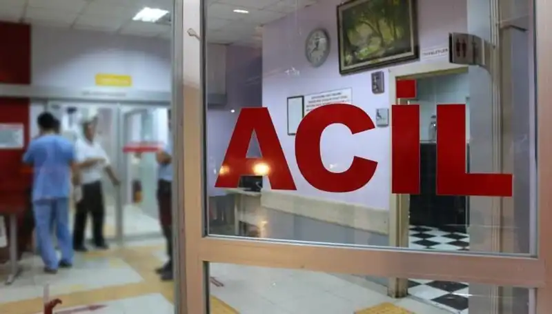 Giresun'da Traktör Devrildi: Sürücü Acı Hayatını Kaybetti