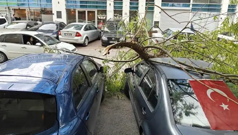 Kayseri'de Fırtına, Ağaçları ve Dalları Telli Telli Kırdı
