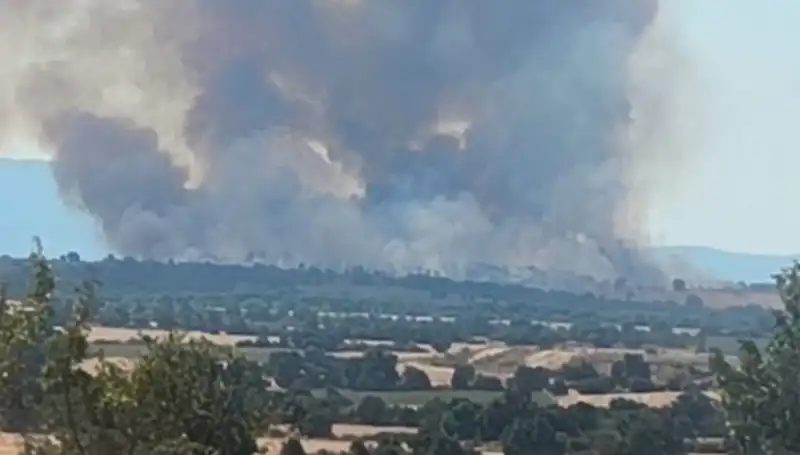 Edirne'de Orman Yangını: Dumanlar Kentin Üzerine Perde Gibi Düştü