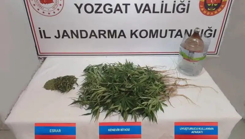 Yozgat'ta Eşine Az Rastlanan Kenevir Operasyonu Gerçekleşti