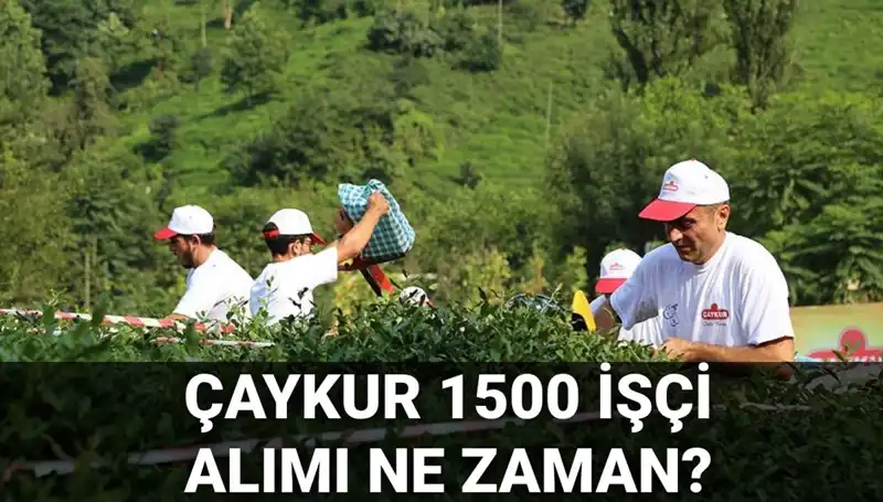Çaykur İşçi Alımı 2023: Başvuru Tarihleri ve Süreç Detayları