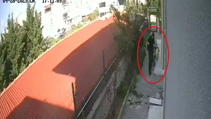 Veteriner Doktorun Şok Edici İhlali: Sahiplendiği Köpekleri Öldürdü
