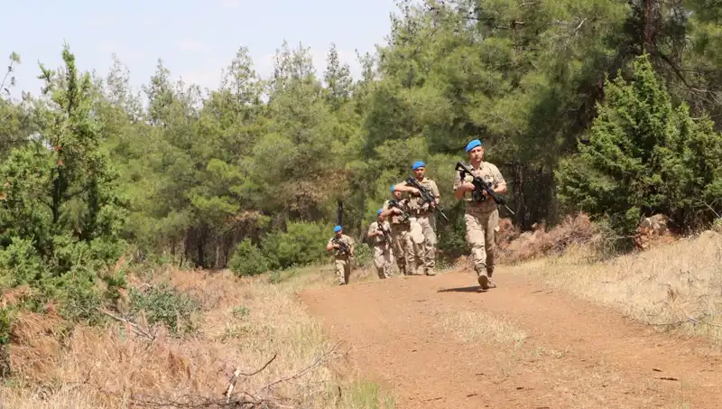 Kilis'te Orman Yangınları ile Mücadele: Alınan Önlemler ve Son Gelişmeler