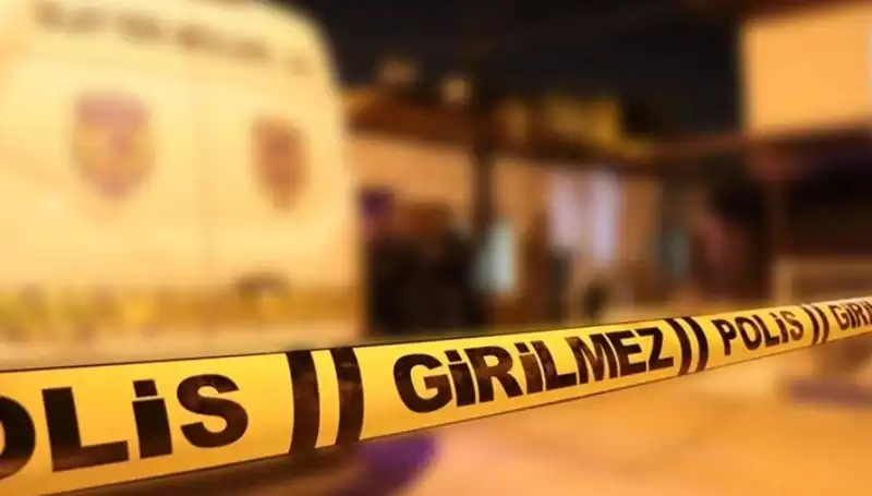 Diyarbakır'da Kayınpeder Dehşeti: Aile İlişkilerinde Sarsıcı Bir Olay