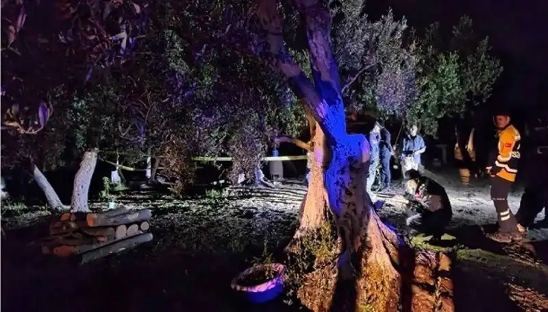 Çiftlikte Baltalı Vahşet: Korkunç Olayda Tek Tutuklama