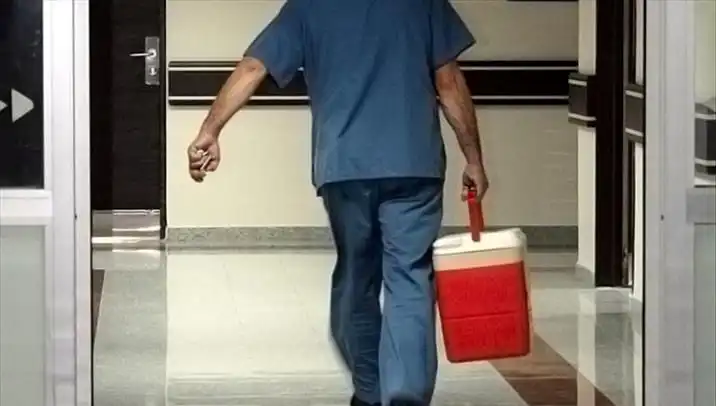 Türkiye’de Organ Bağışı İçin e-Devlet ve e-Nabız Dönemi Başladı!