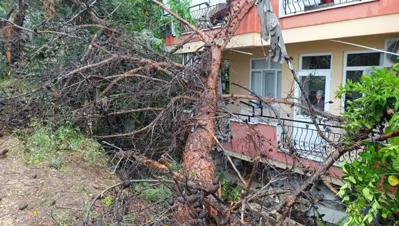 Yağmura Dayanamayan Bina Devrildi: Olay Anı ve Sonrası