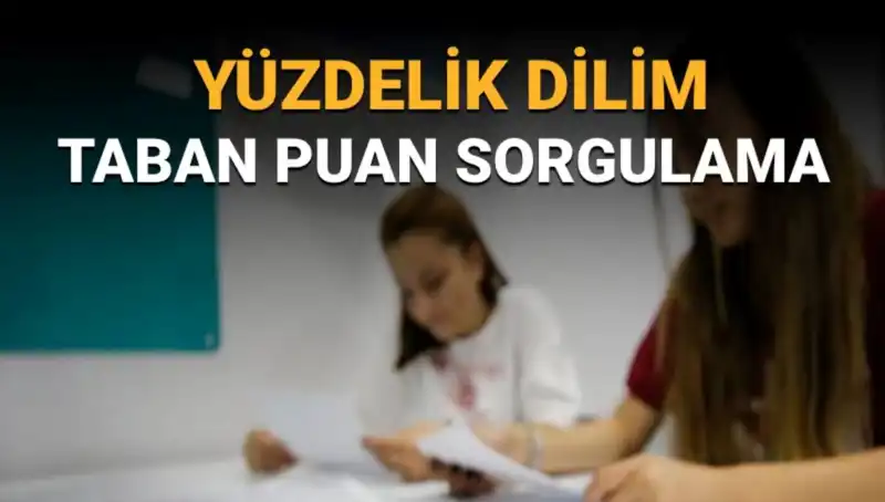 2025 LGS Taban Puanları ve Yüzdelik Dilim Sorgulama Detayları