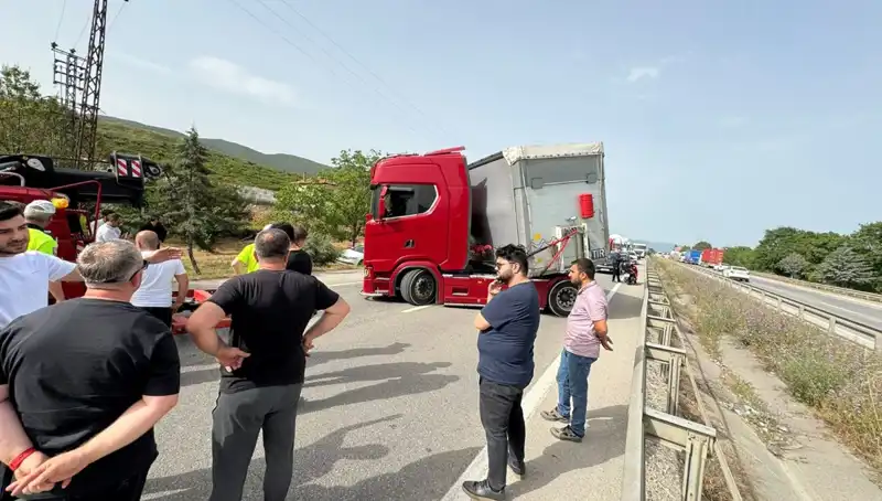 Seyir Halindeki Araçta Şoke Eden Arı Saldırısı: Trafik Kilitlendi!