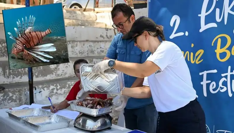 Antalya'da İstilacı Aslan Balığına Karşı Avlama Yarışması Gerçekleşti