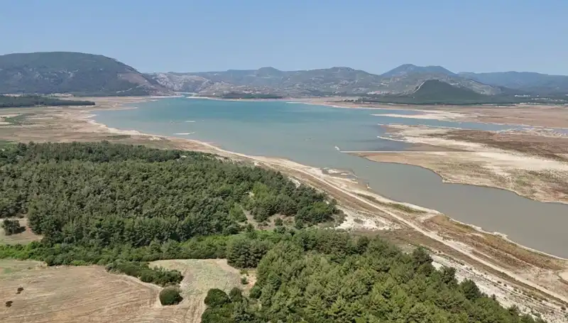 İzmir'de Dikkat Çeken Düşüş: Tehlike Çanları Çalıyor!