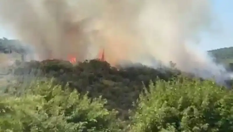 İstanbul'da Patlak Veren Orman Yangını: Vatandaşlar Acil Tahliye Edildi