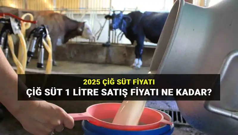 2025'te Çiğ Süt Fiyatları Ne Olacak? Detayları Keşfedin!