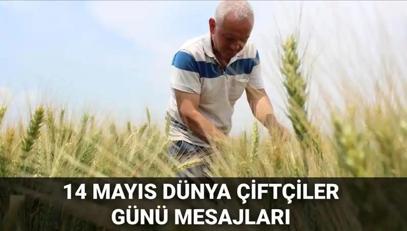 Dünya Çiftçiler Günü 2025: Tarımın Kahramanlarına Özel Mesajlar