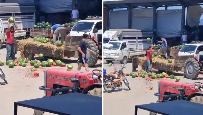 Karpuzları Yere Atıp Parçalayan Çiftçilere Kötü Haber: Ceza Geliyor!